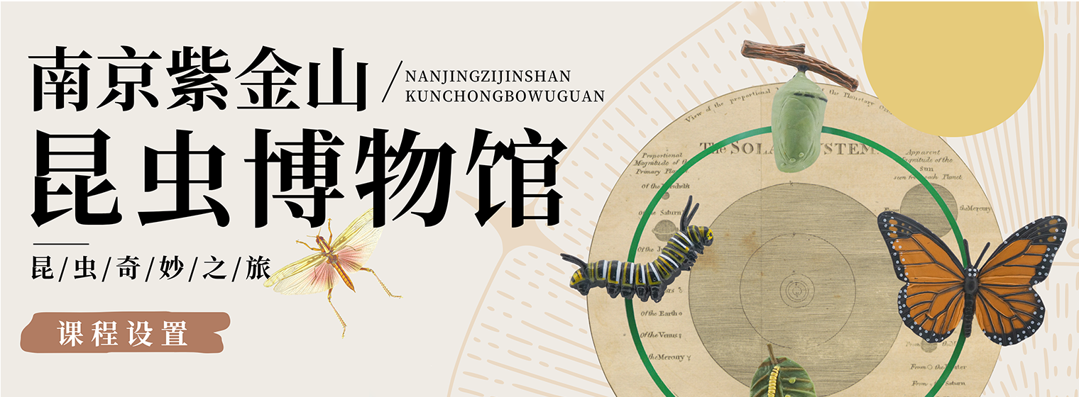 少年牧课·南京紫金山昆虫博物馆课程