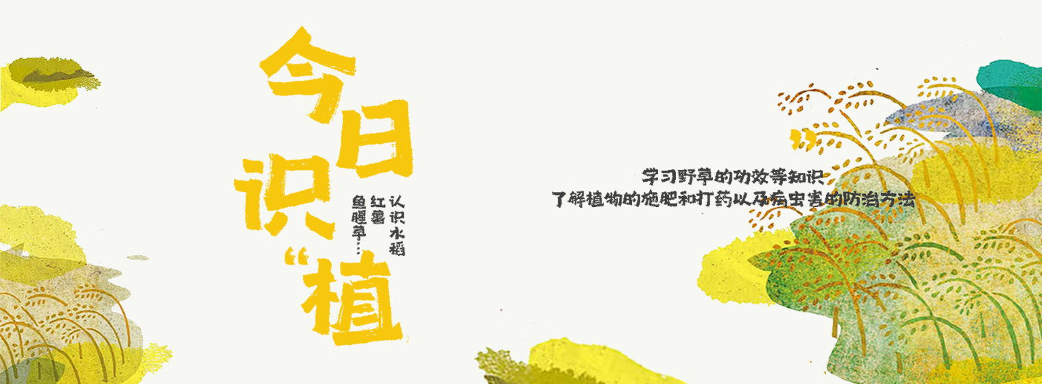 少年牧课·今日识植物课程
