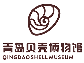 少年牧课官网合作场馆青岛贝壳博物馆